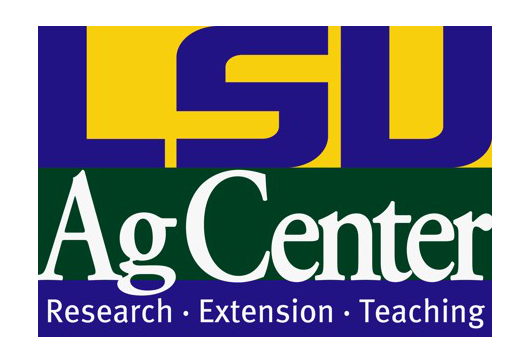 LSU