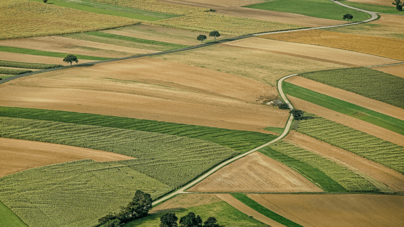ARC-IC Considerations for 2022 Farm Program Elections