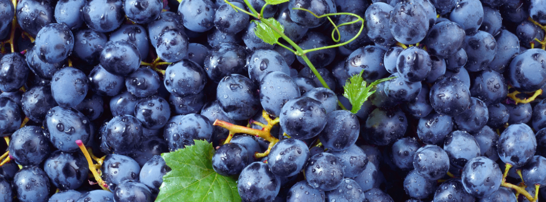 Growing Value of U.S. Organic Specialty Crop Sales