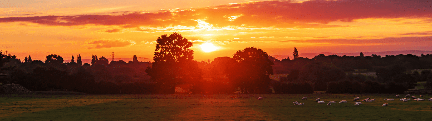 A New Year, A Better Marketing Plan for the Farm