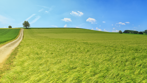 2024 Agricultural Lending Condition Update