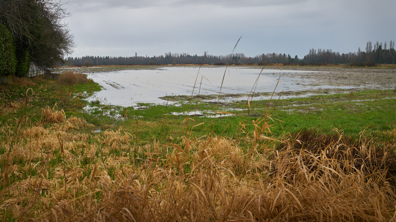 Flood Impact Estimates on Cropland Using Satellite Imagery