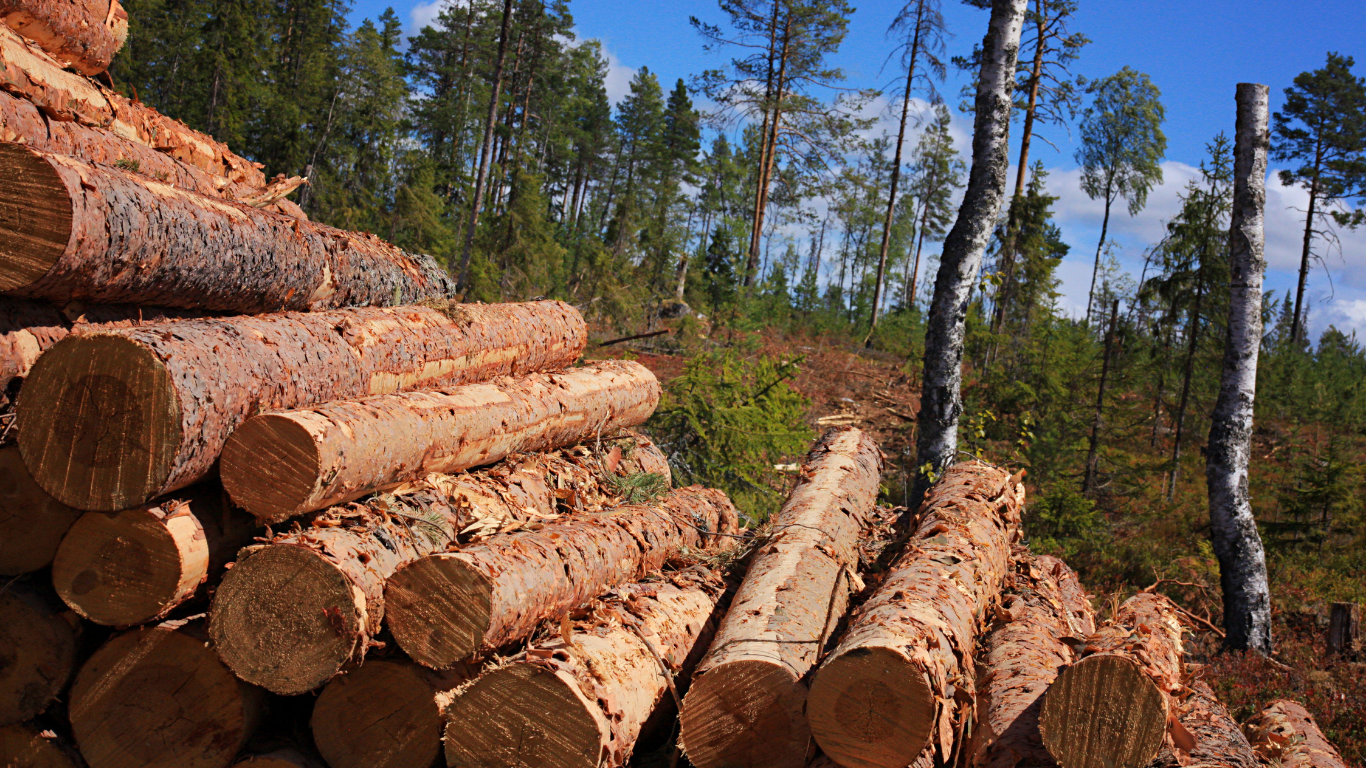Do I need to pay the Net Income Tax on my timber income?