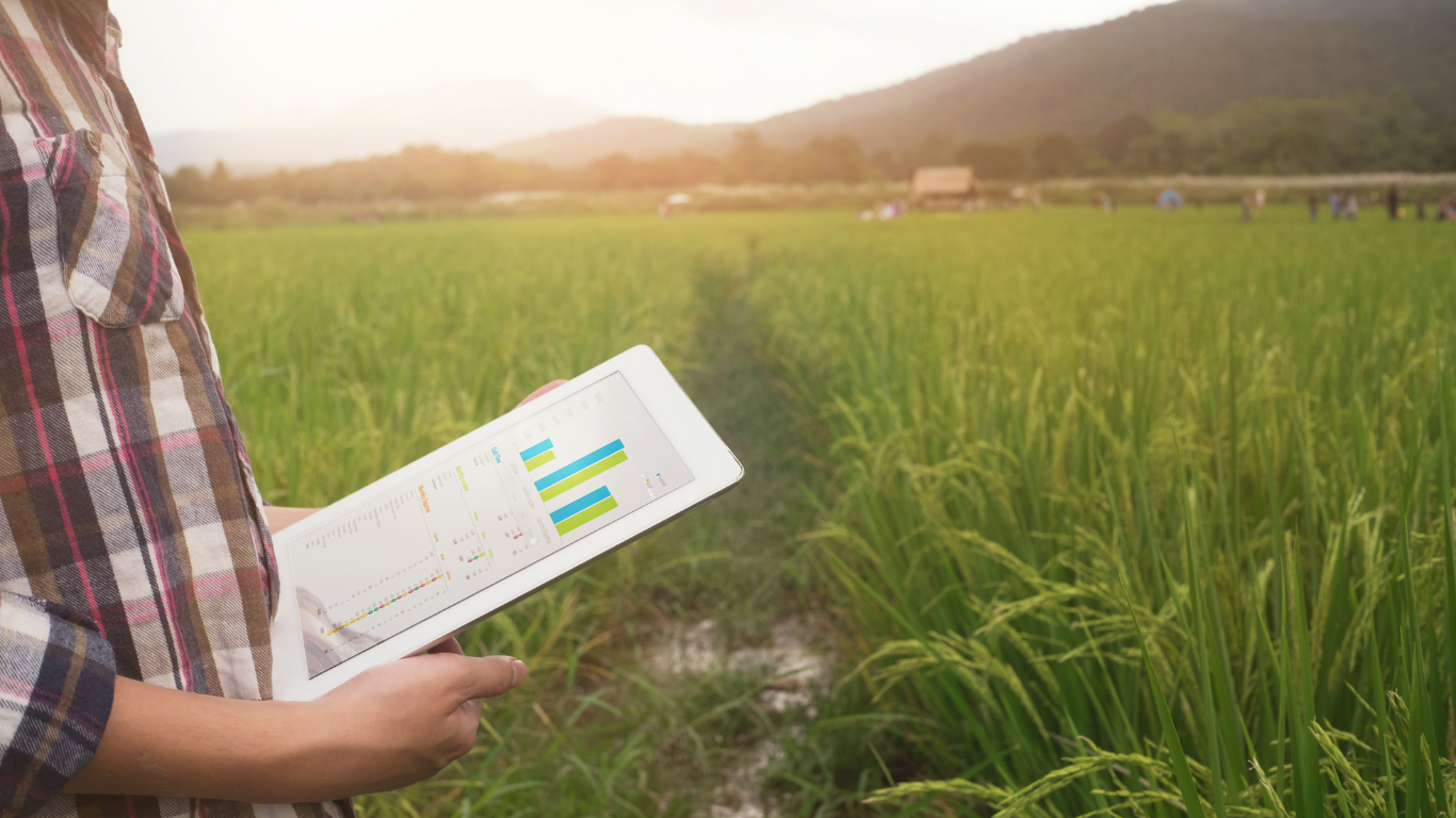 The Bipartisan Infrastructure Law Could Offer New Information to SDFRs in Rural America