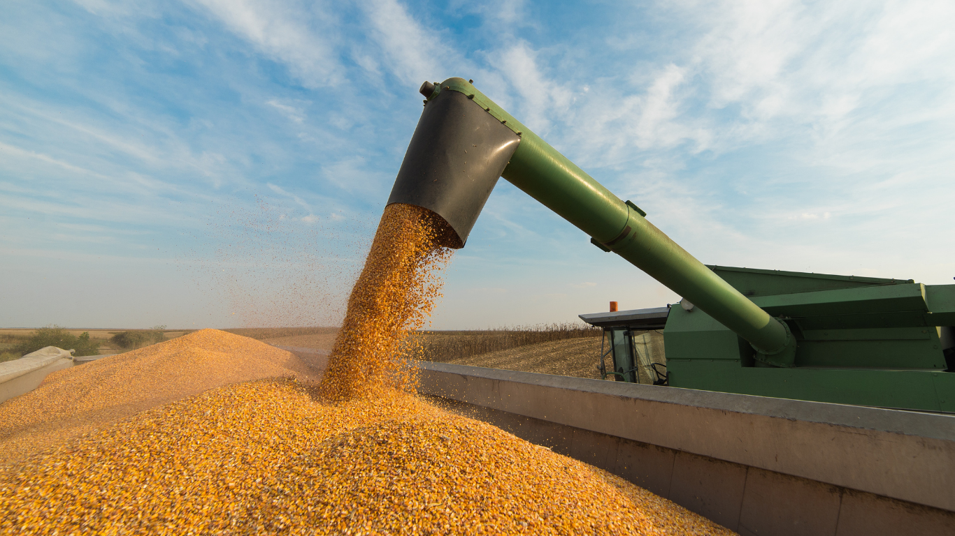 How much will the cost of custom operations go up this year?