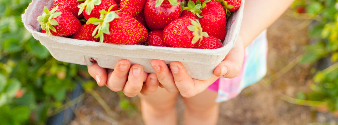 Agrotourism and Land Use – Happily Ever After?