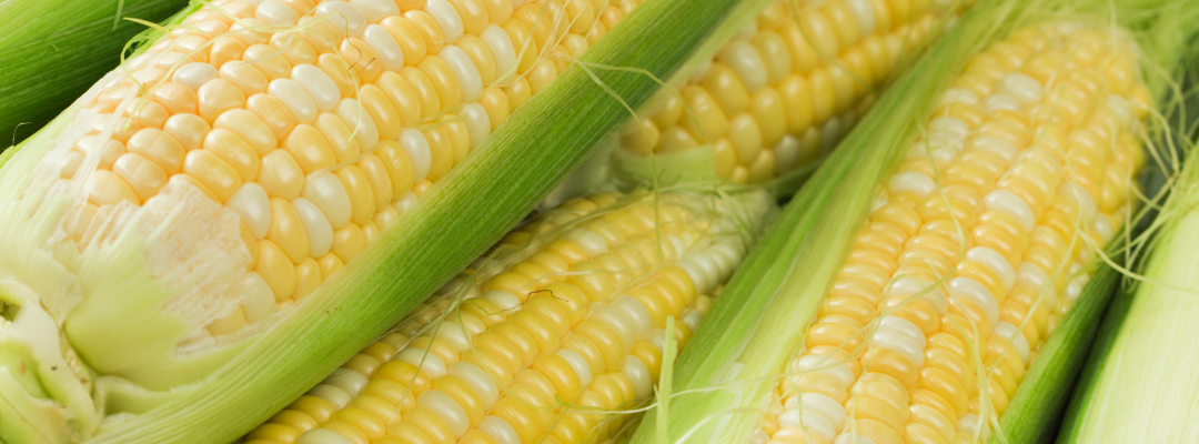 The U.S. Ethanol Industry and Unintended Consequences