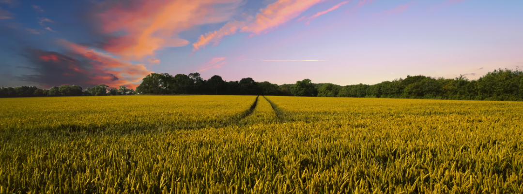 Inflation and Farm Prices