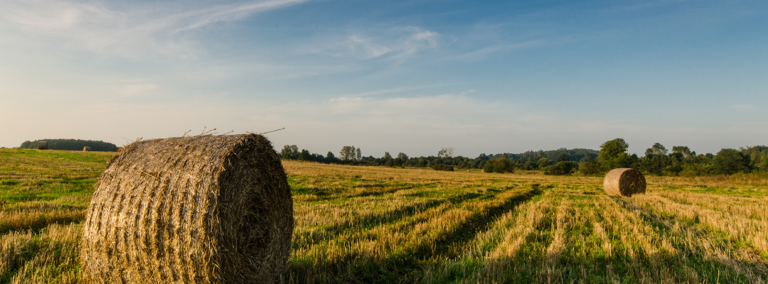 Forage Costs of Production and Breakeven Curves