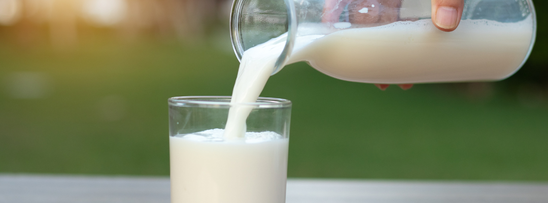 Farm Level Milk Prices Set Record in Back-to-Back Months