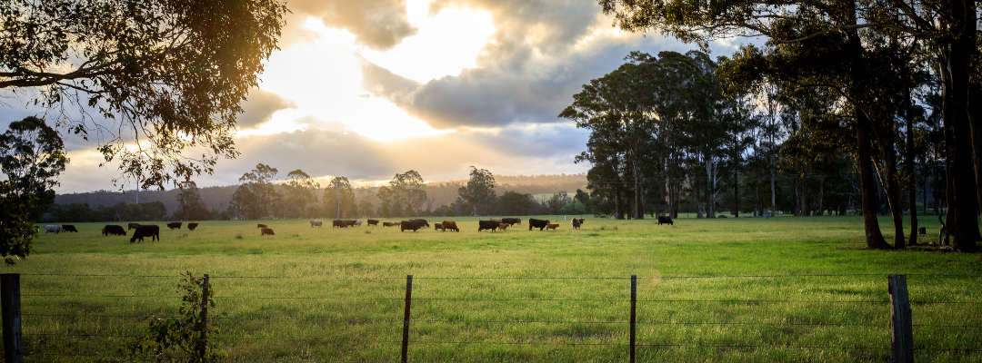 Rising Custom Rates Add to Producer Cost Pressures
