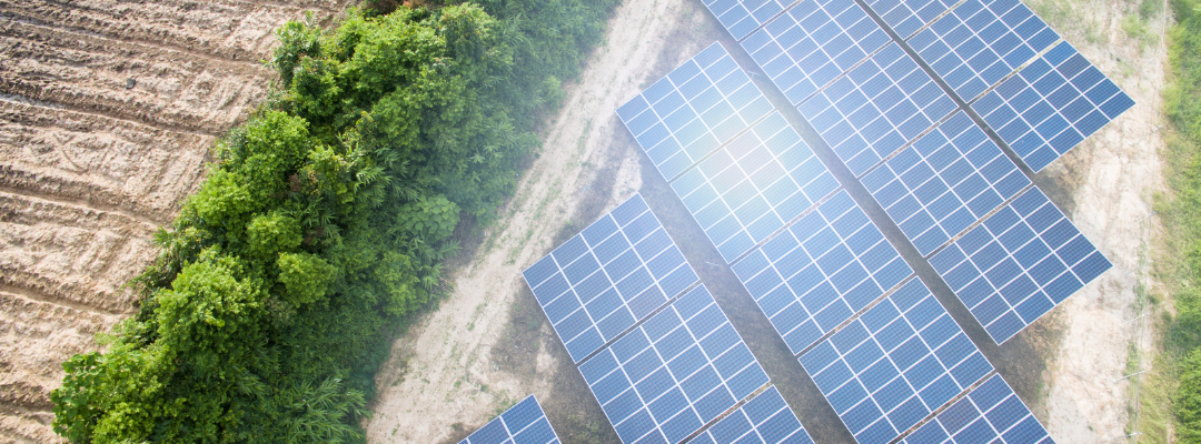 Can Solar Panels Improve Contract Farm Profitability?