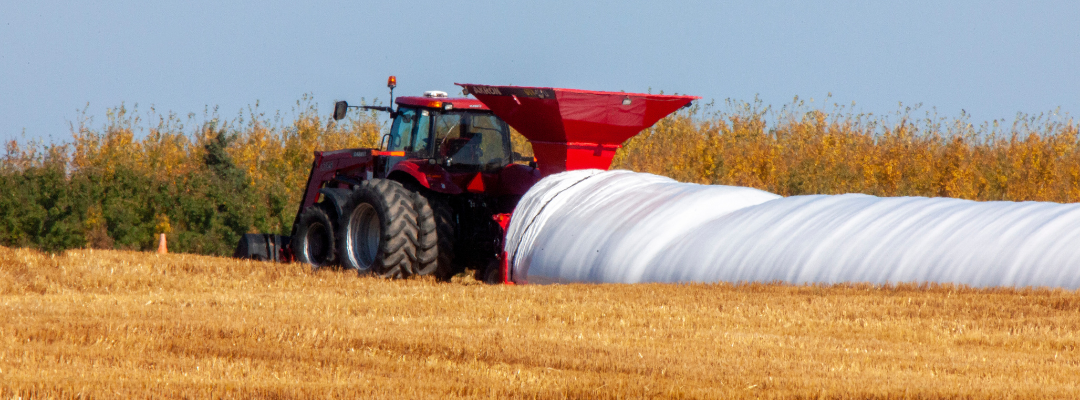 Estimating the Cost of a Grain Bagging System