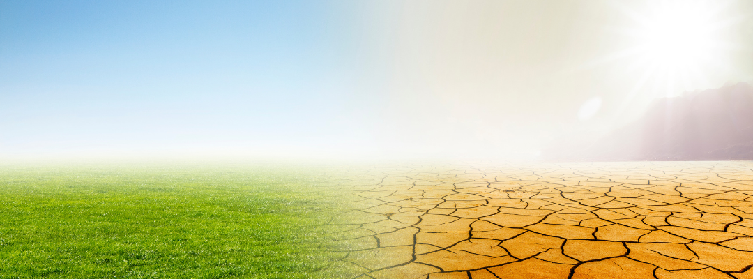 PRF Adoption Rate to Mitigate Drought Impact
