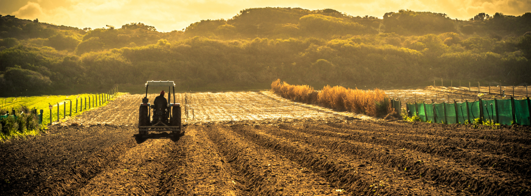 What is the Expected Impact of High Commodity Prices on Effective Reference Prices for Covered Commodities
