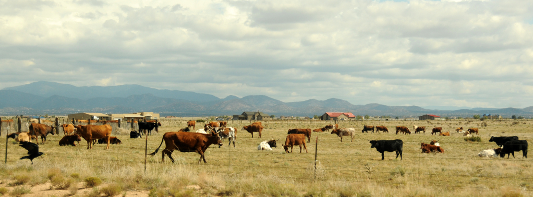 Producers have Significantly Increased the use of LRP