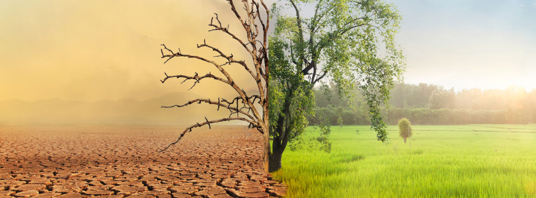 The Securities and Exchange Commission Proposed Climate-Related Disclosures and Unintended Consequences?