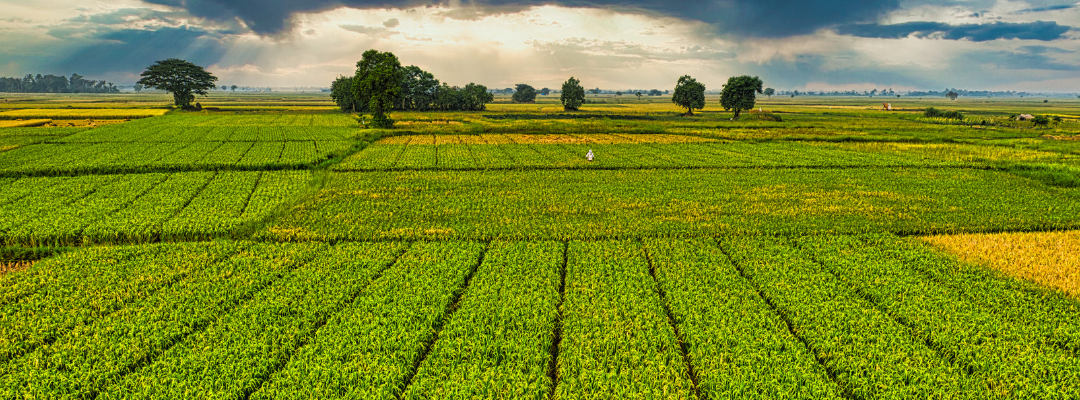 Using the Share Rent Equivalent Model to Determine Farmland Value