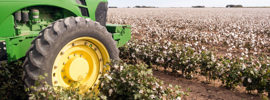 An Early Look at the Farm Safety Net for Cotton in 2023