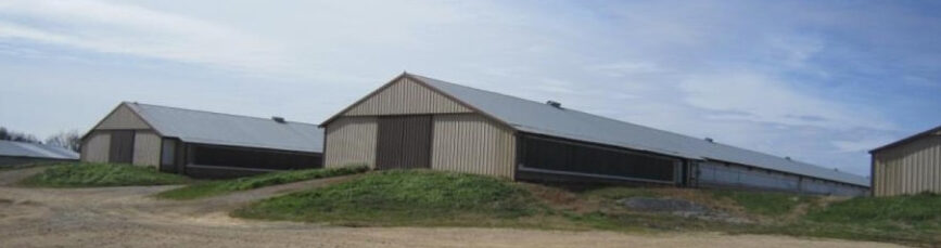 Data Centers and Poultry Growers