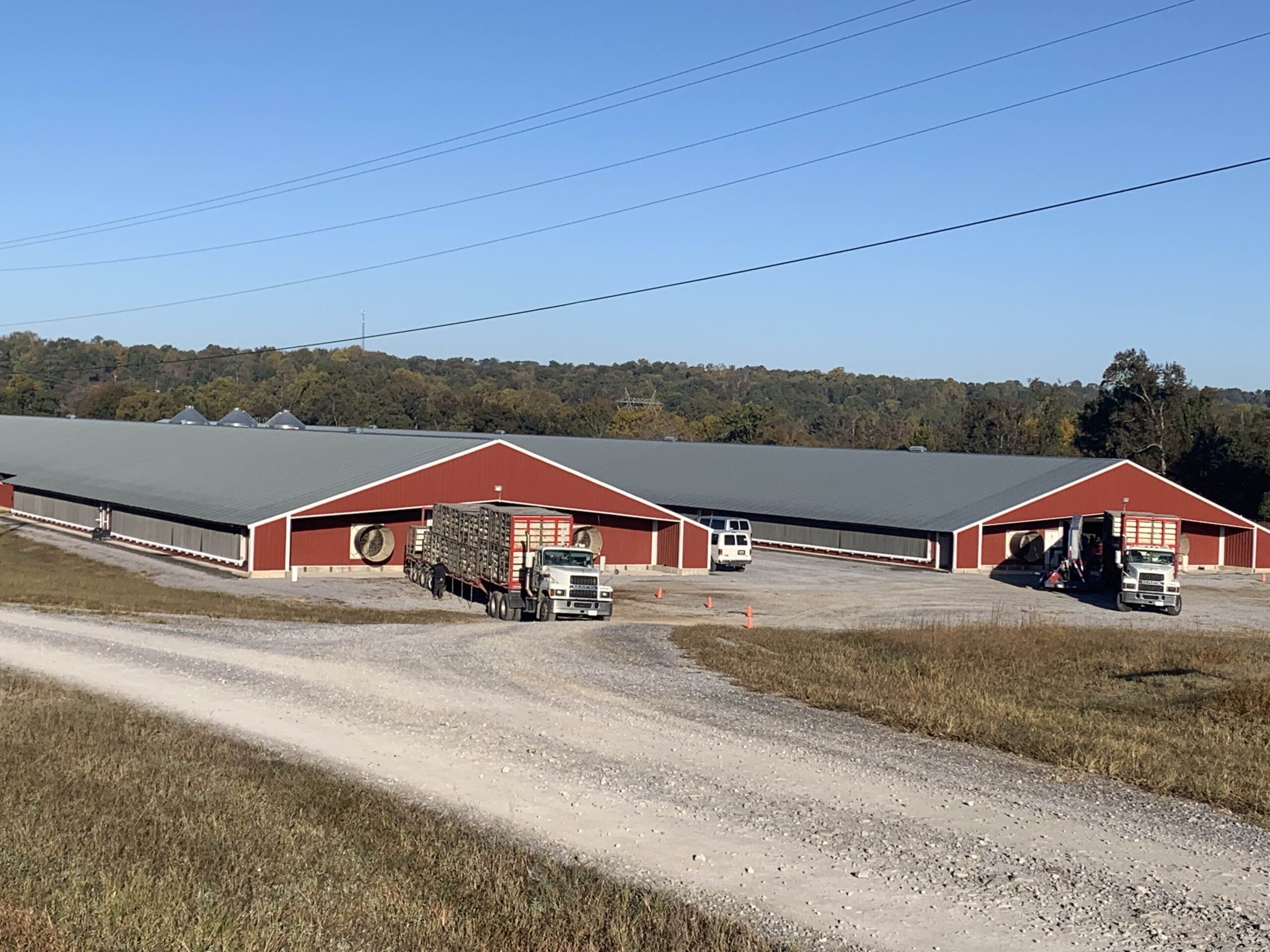 The Cost of Money and Commercial Poultry Growing