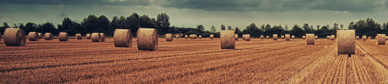 Wheat Straw Nutrient Removal