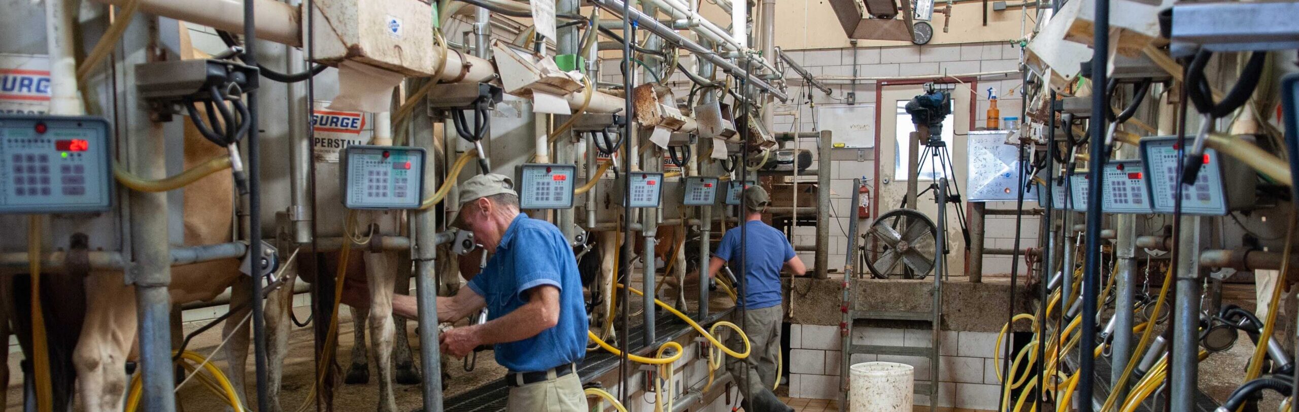 Dairy Margin Coverage Program Begins 2023 with Payment