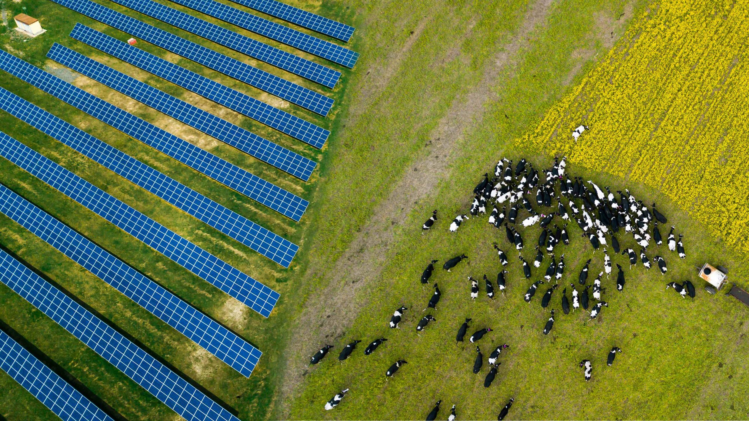 Riding off into the Sunset: State Policies and Contract Provisions That Impact Decommissioning a Solar Facility