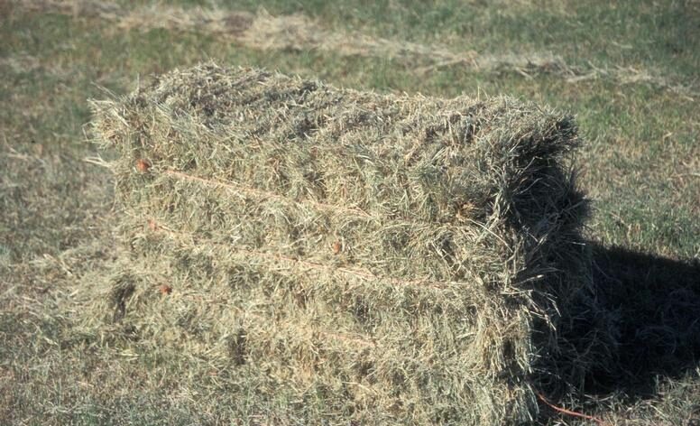 Bermuda Grass Hay Nutrient Removal