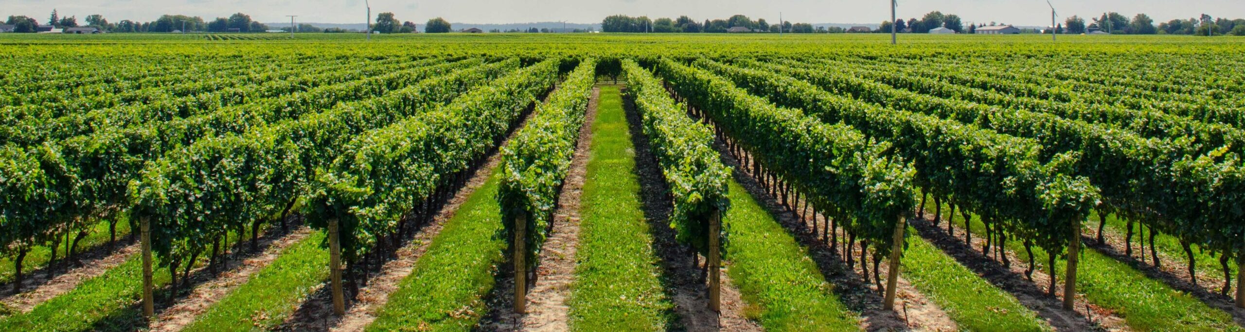 Is Your Operation AGRItourism or AgriTOURISM?