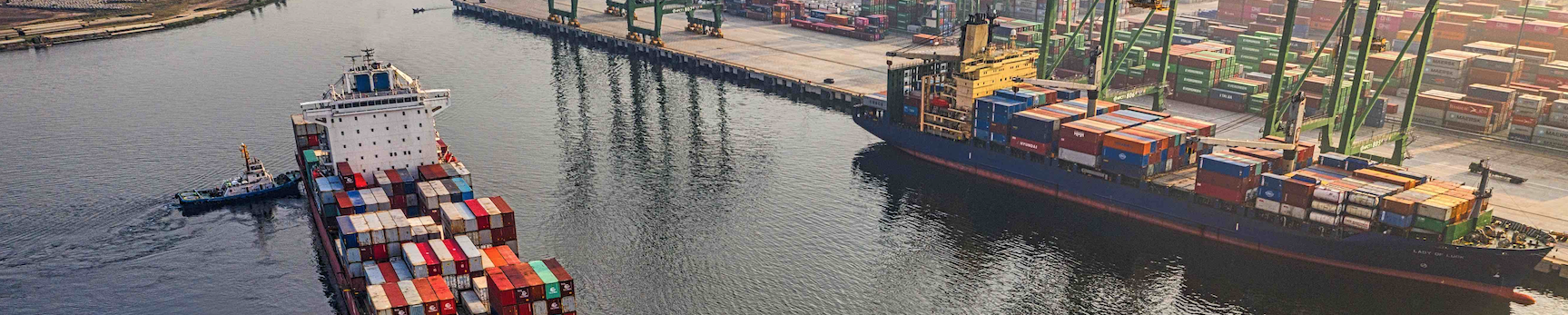 A Weaker Dollar Can be Good News for U.S. Crop Exports