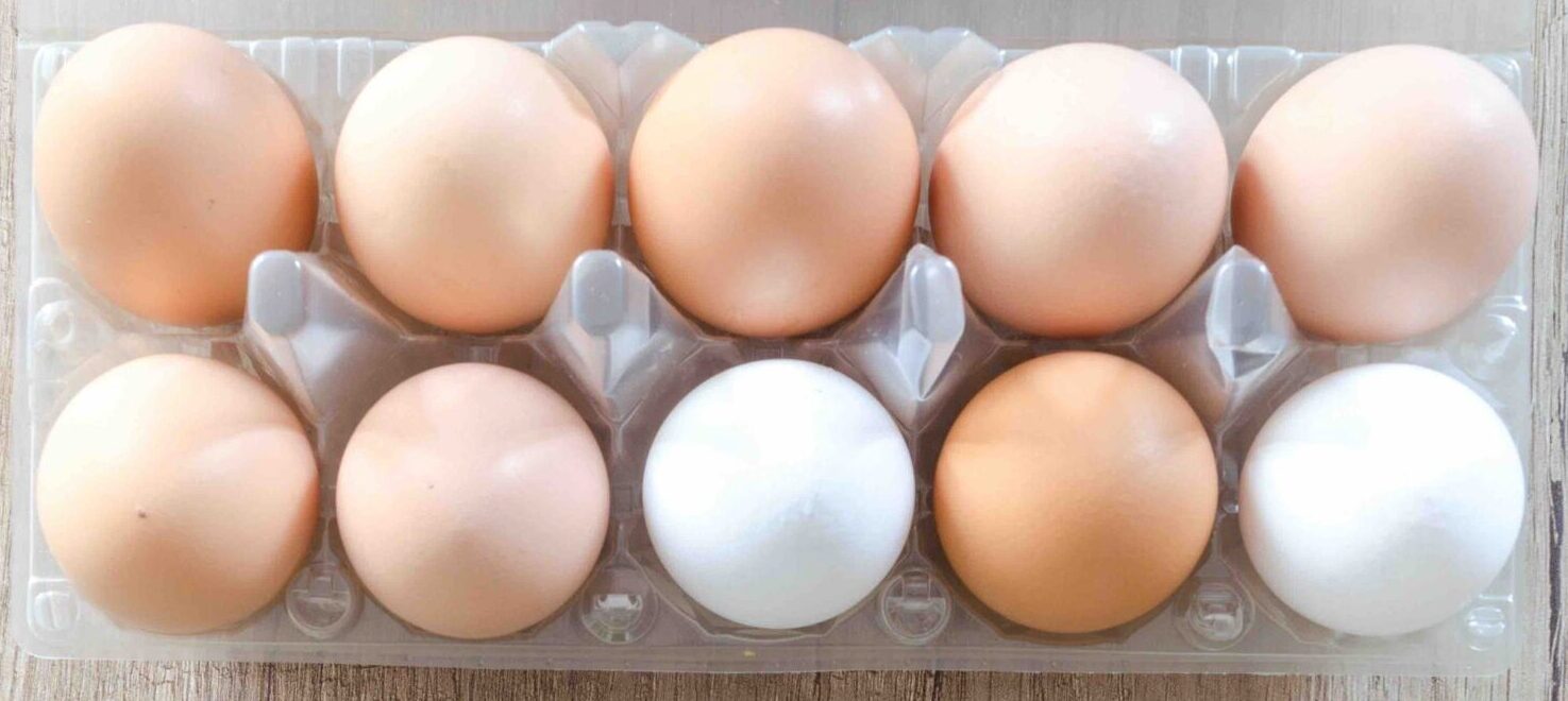 Can Broiler Eggs Help Table Egg Prices?