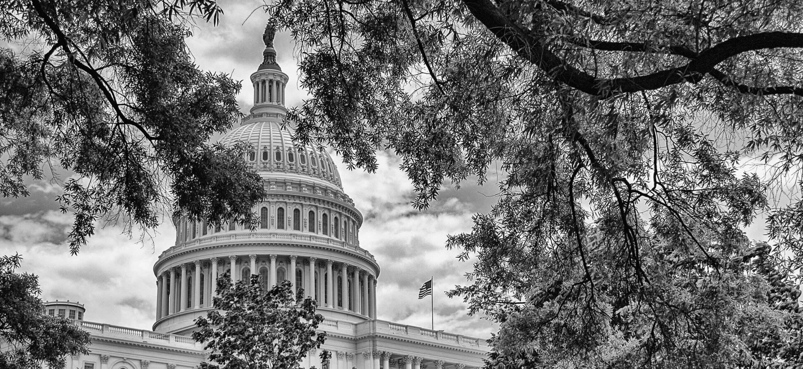 Commodity Program Payment Limits, Farm Entity Creation, and Implications for the Next Farm Bill