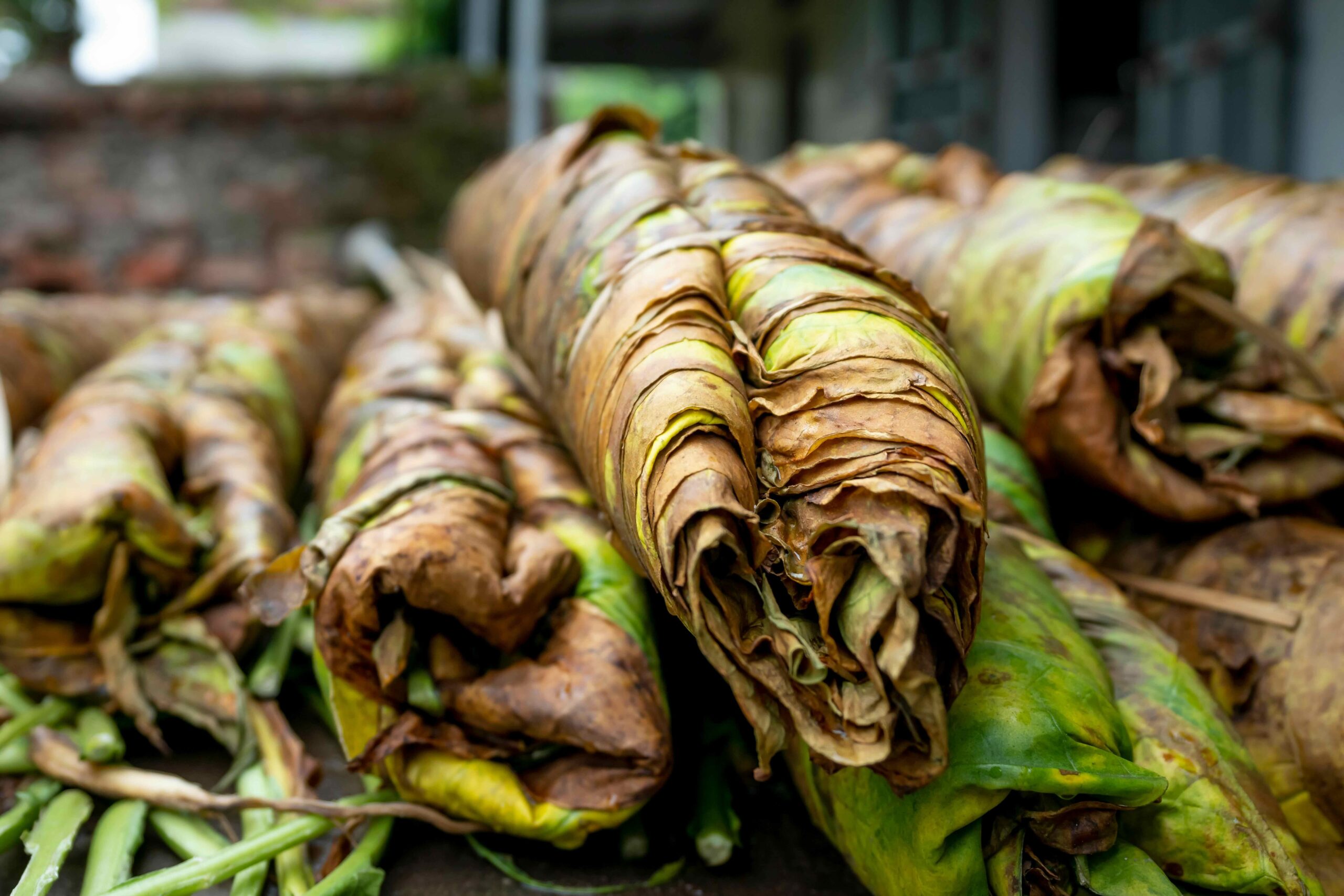 Census Reveals Tobacco Farms Disappearing from Southern Agriculture