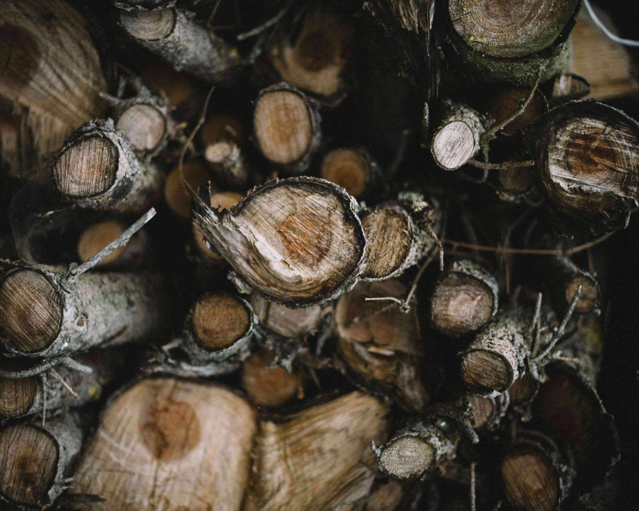 Tax Considerations of Income and Expenses from Nontimber Forest Products