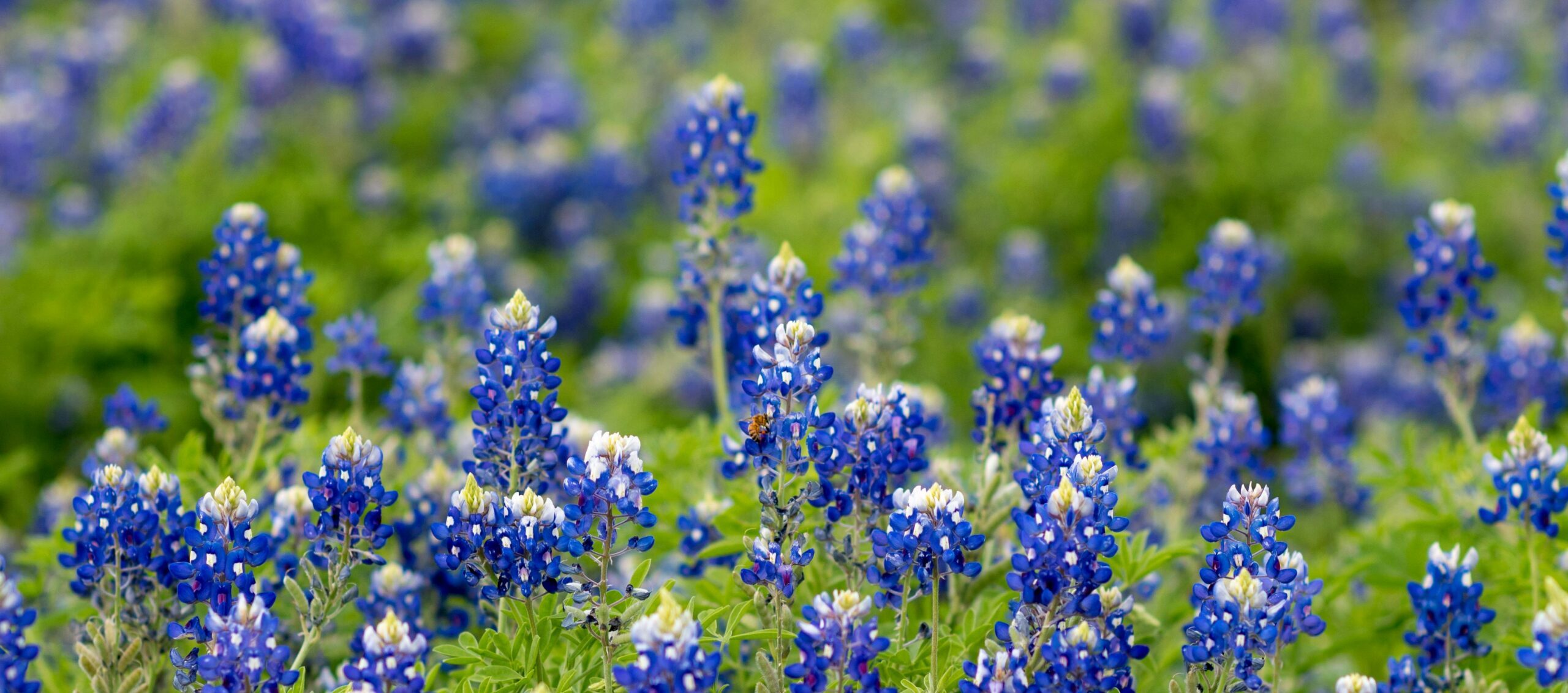 Texas Farmers Sue USDA for Alleged Discrimination
