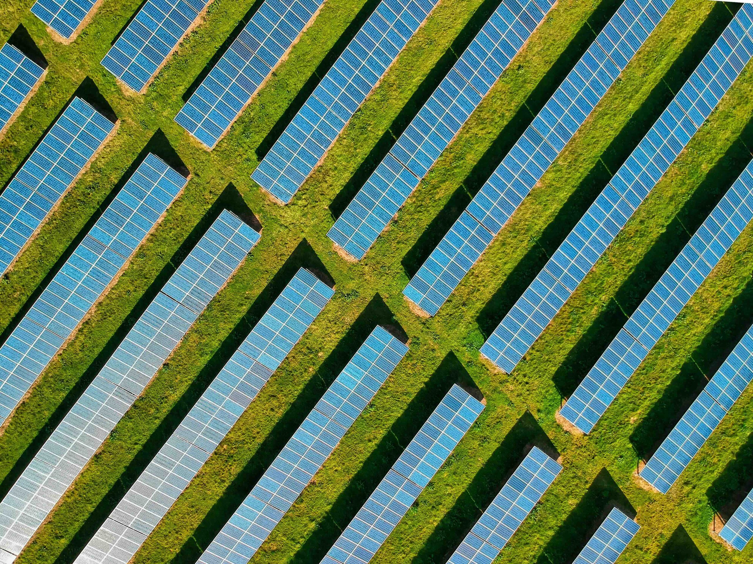 Chasing the Benefits of Agrivoltaics