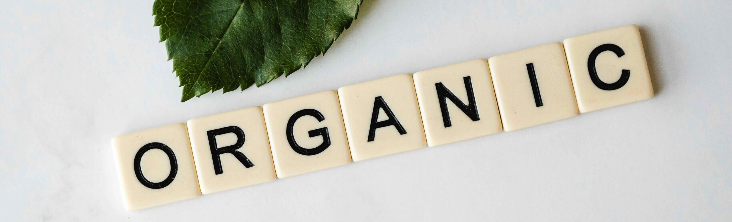 Transitioning to Organic in the South