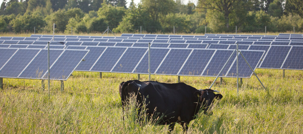Understanding Renewable Energy Agreements: Easement, Option, and Lease Phases Explained