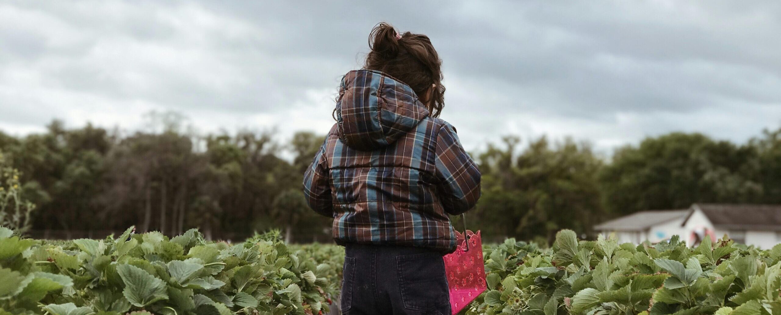 Signage Requirements Under Agritourism Liability Acts