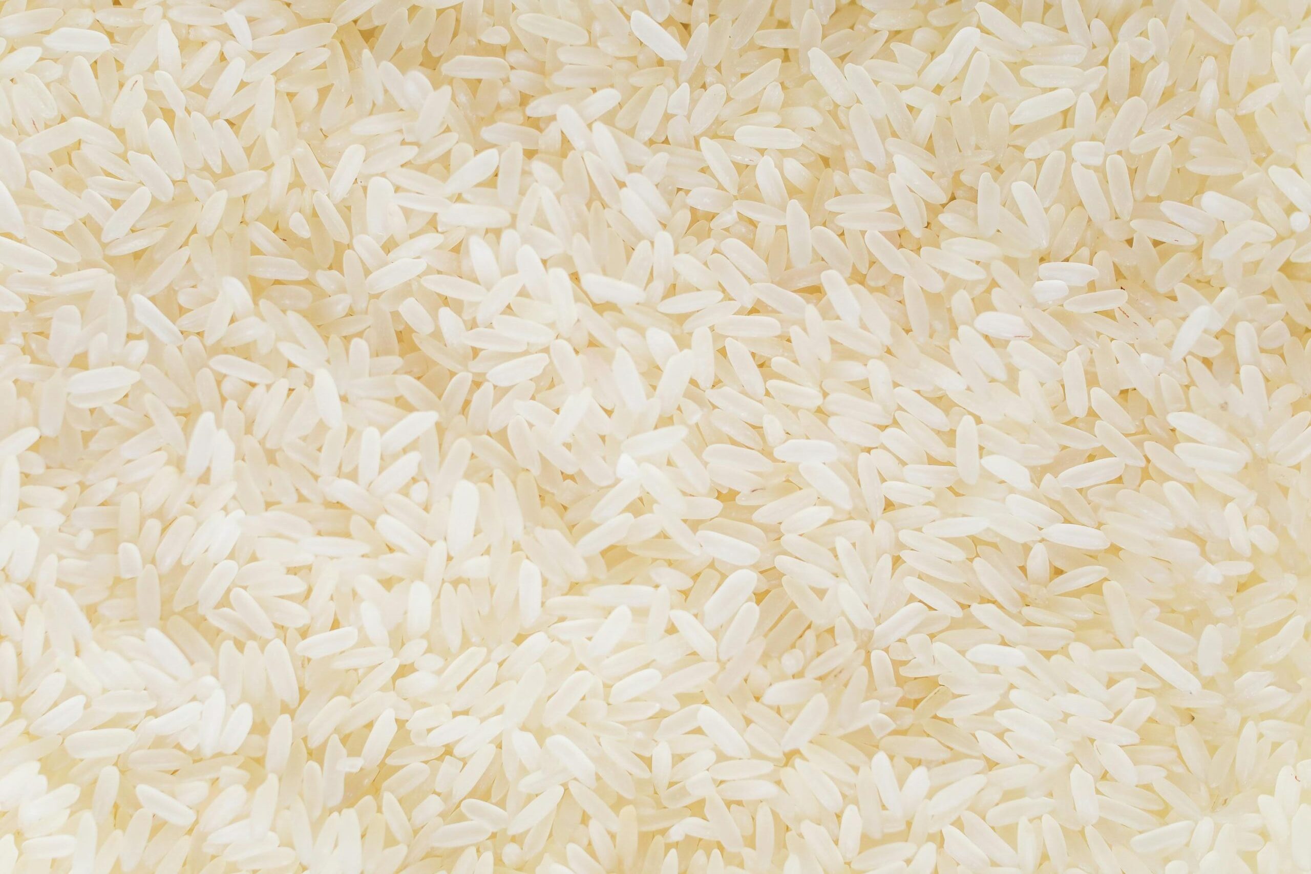 Global Market Prospects for U.S. Long-grain Rice for the Upcoming Marketing Year