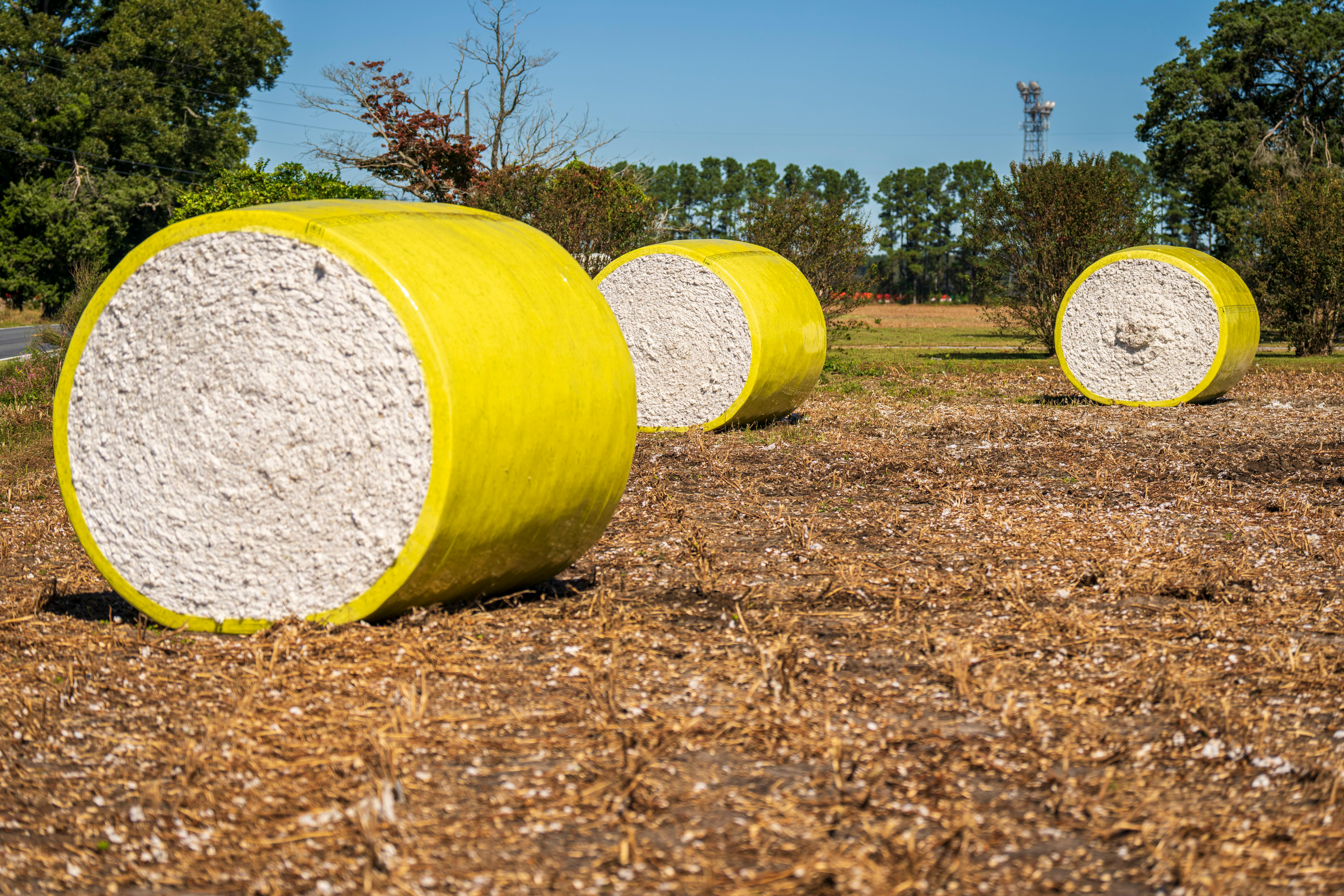 Monthly Variability in U.S. Cotton Exports