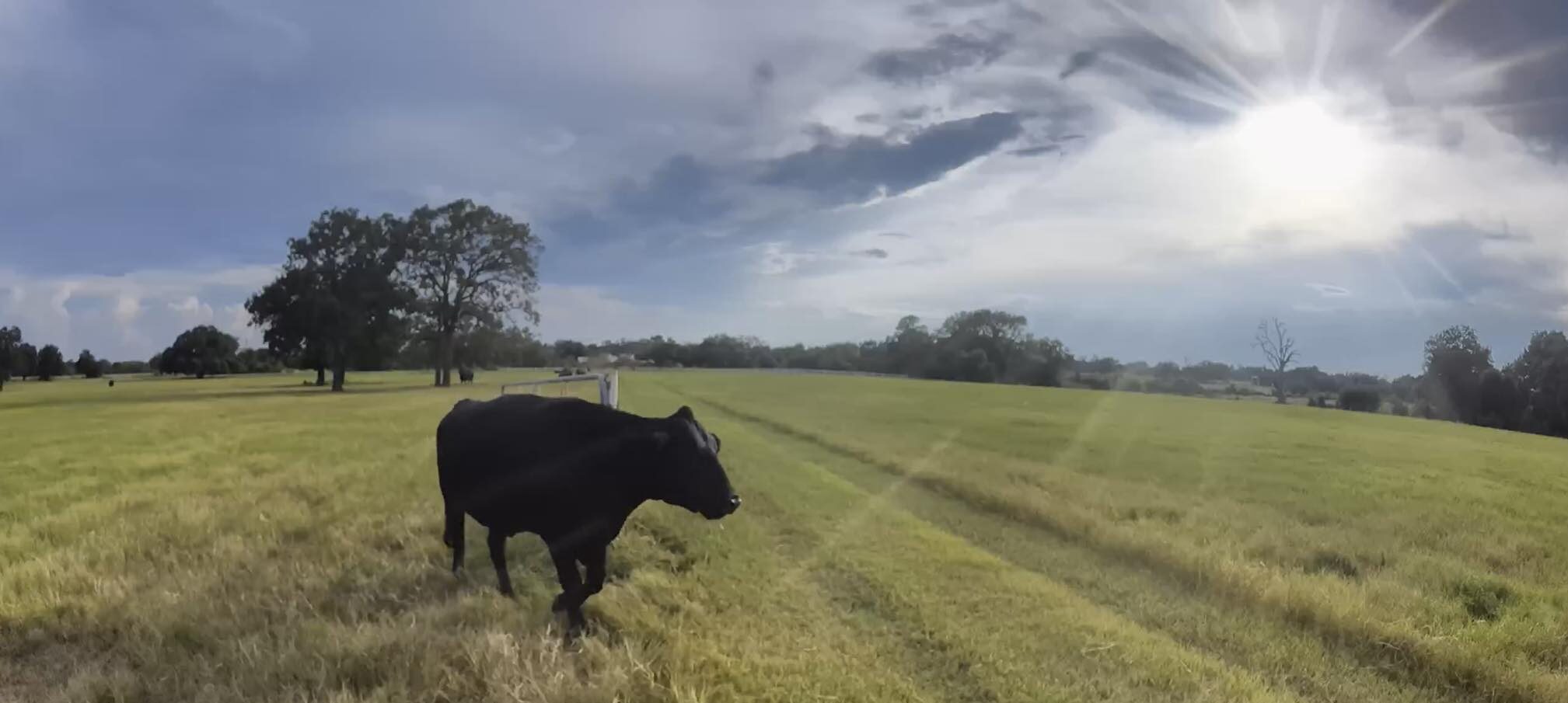 Pasture and Rangeland Conditions