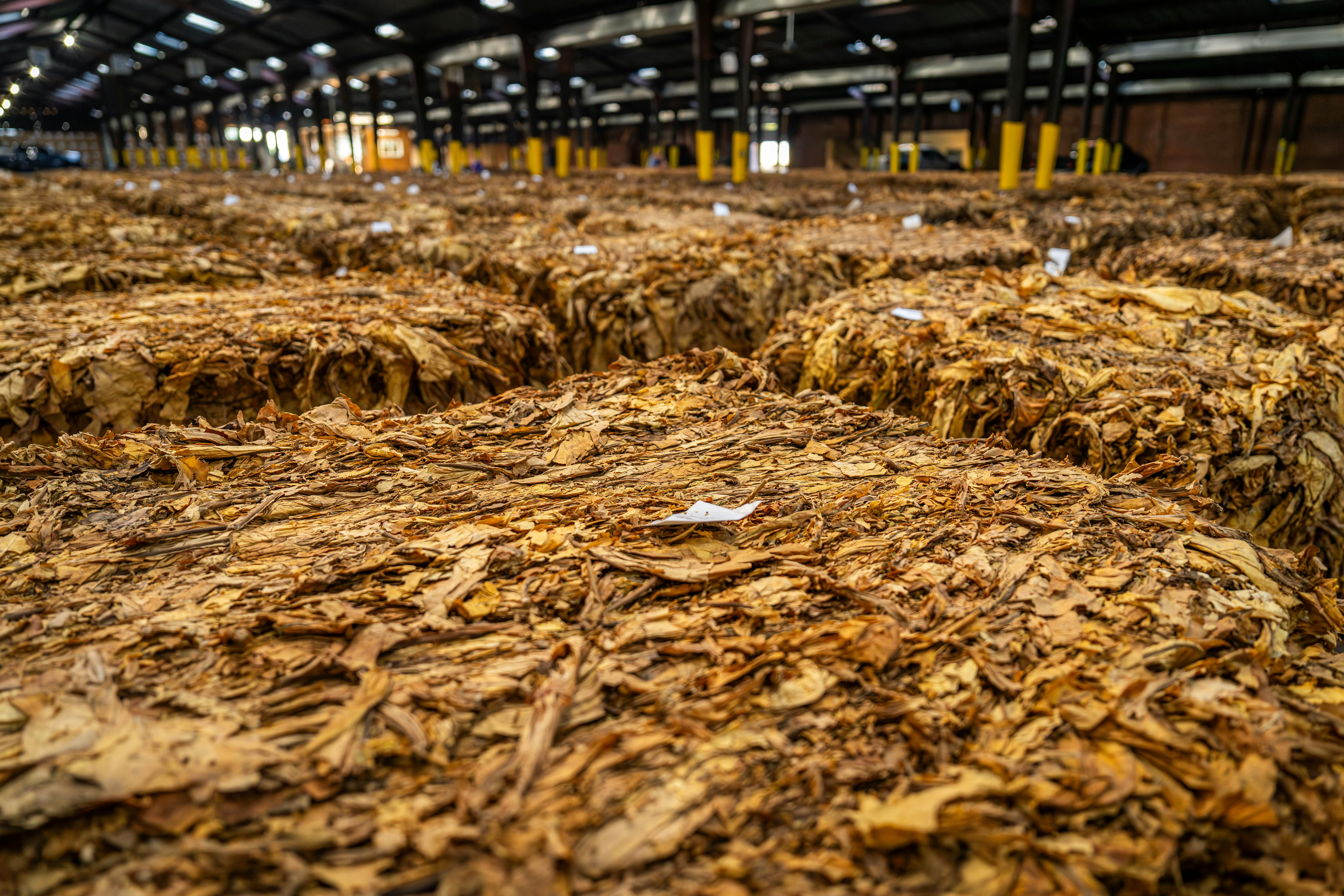 Tobacco Master Settlement Agreement Investment in Diversification of Southern Agriculture