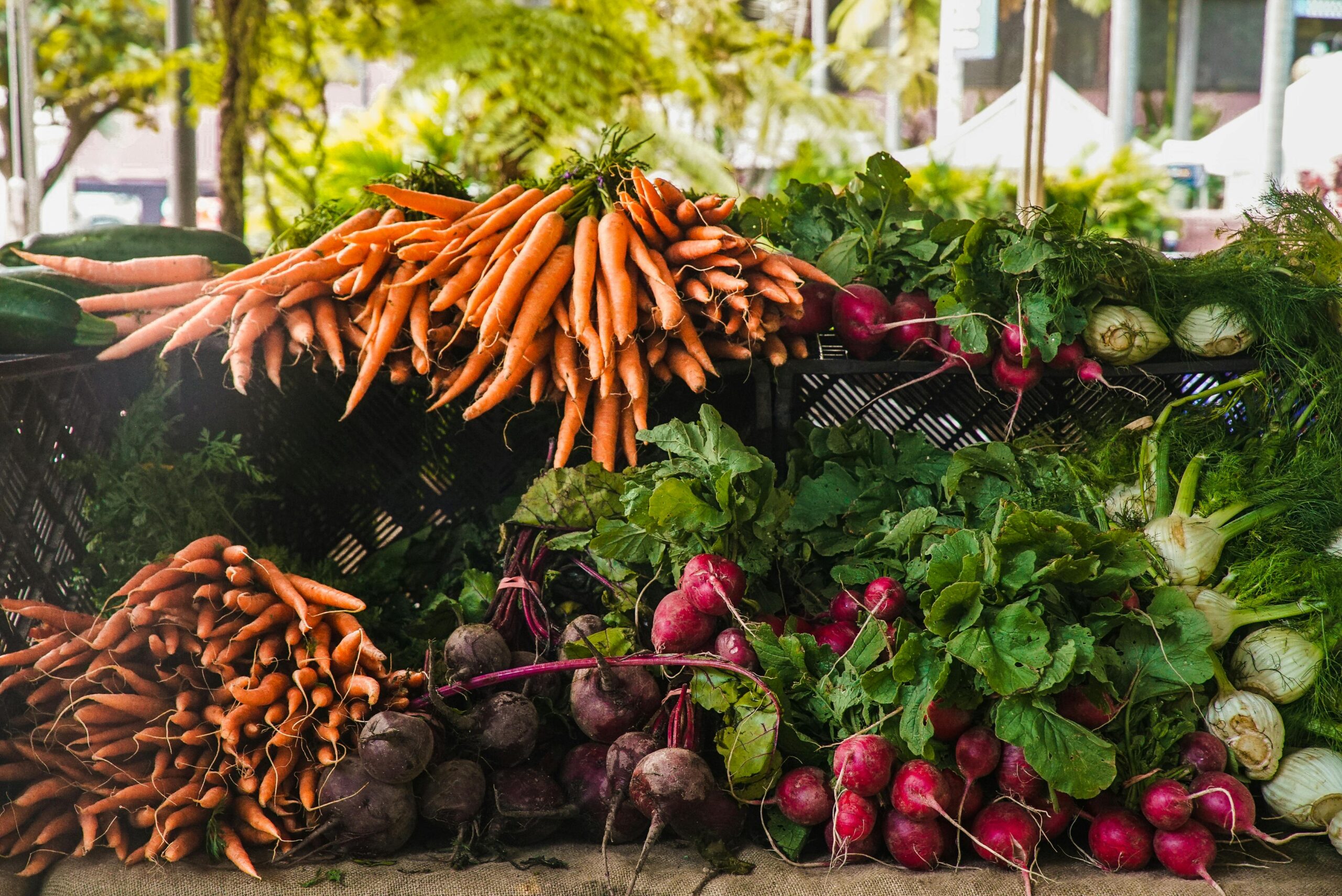 Rising Imports and Soaring Costs: Dual Pressures Squeeze U.S. Fresh Produce Growers