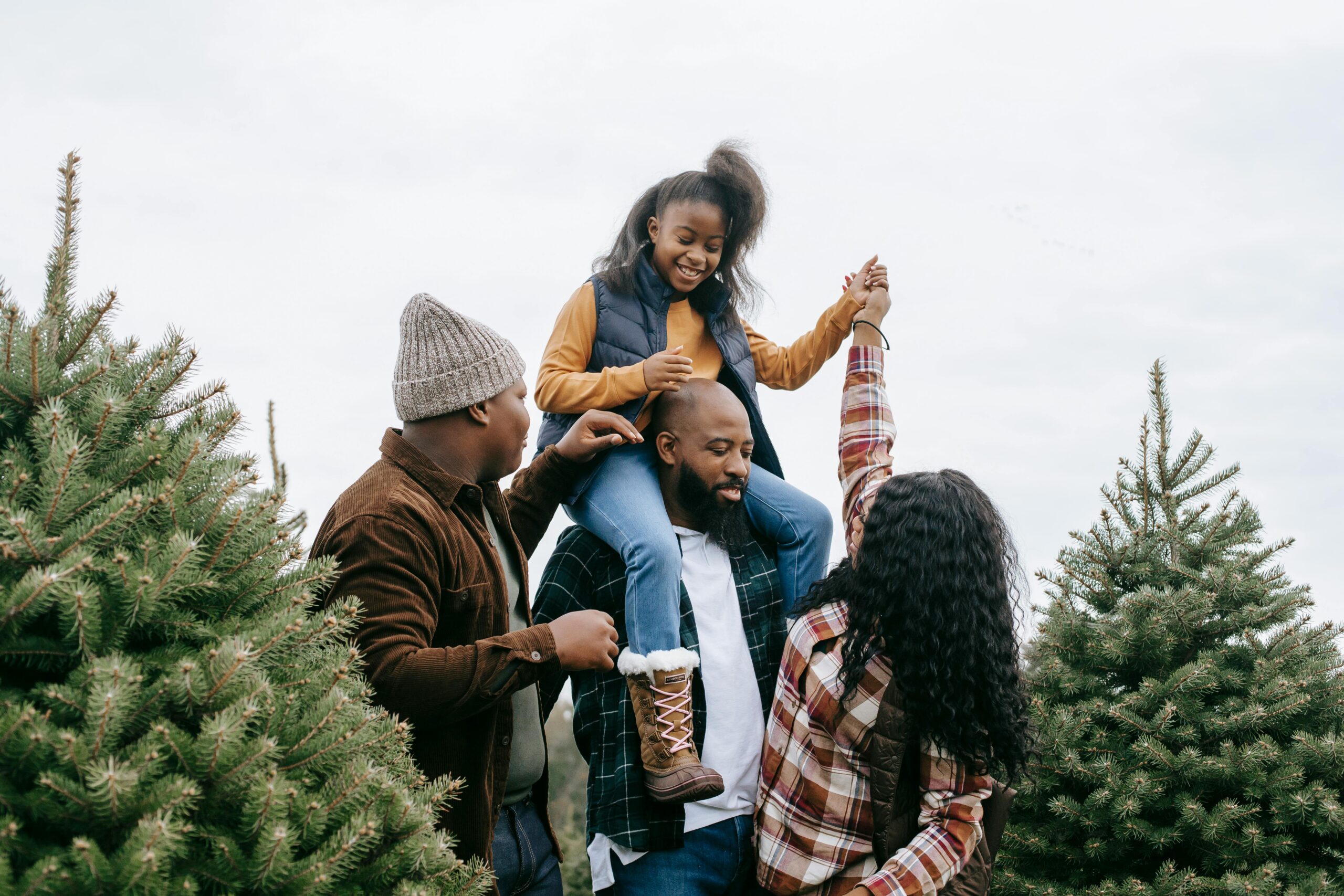 Christmas Trees: A Festive Specialty Crop in the Southeast