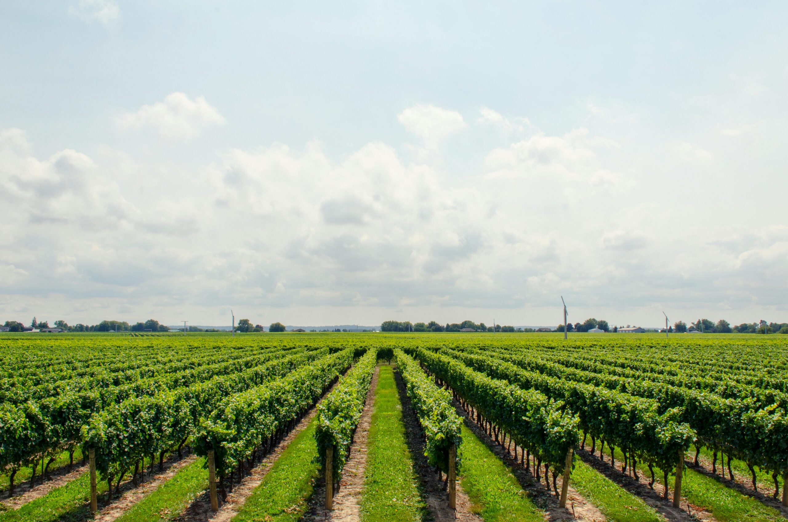 Does Agritourism Hinder or Promote Farmland Preservation?