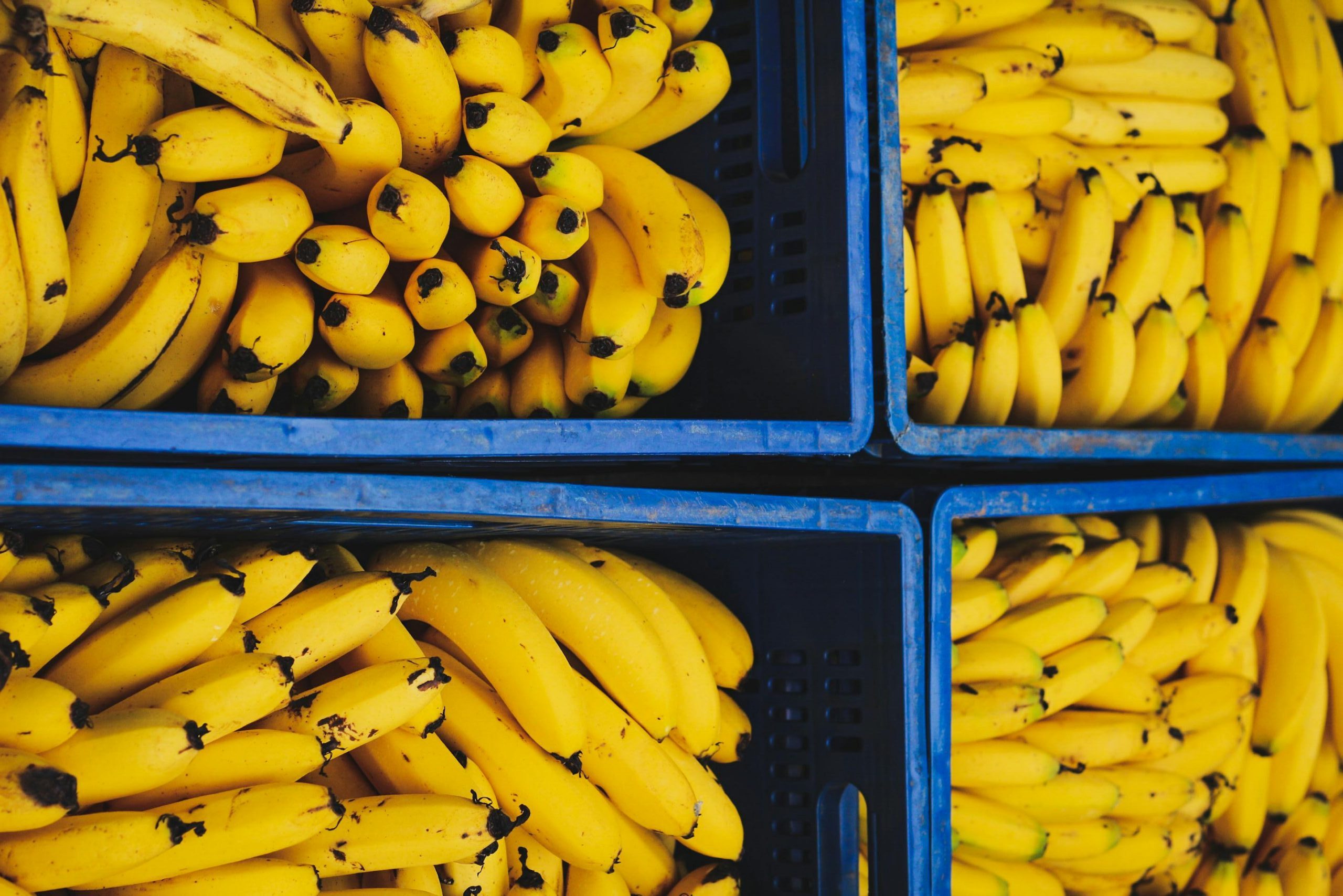 Recent Tariff Exceptions and Trade Agreements Aimed to Reduce Food Costs