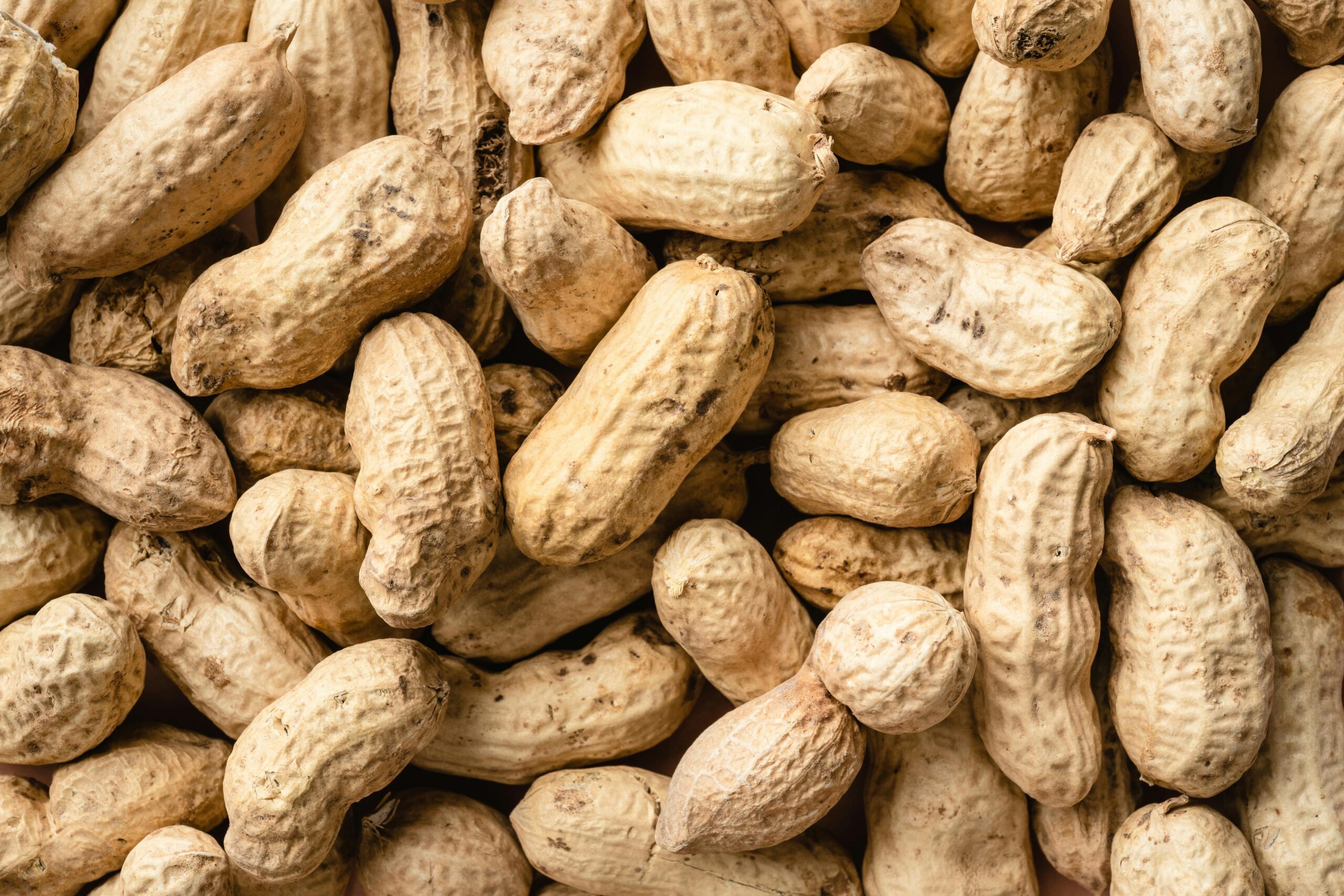 What Determines Peanut Crop Insurance Projected and Harvested Prices During the Price Discovery Period?