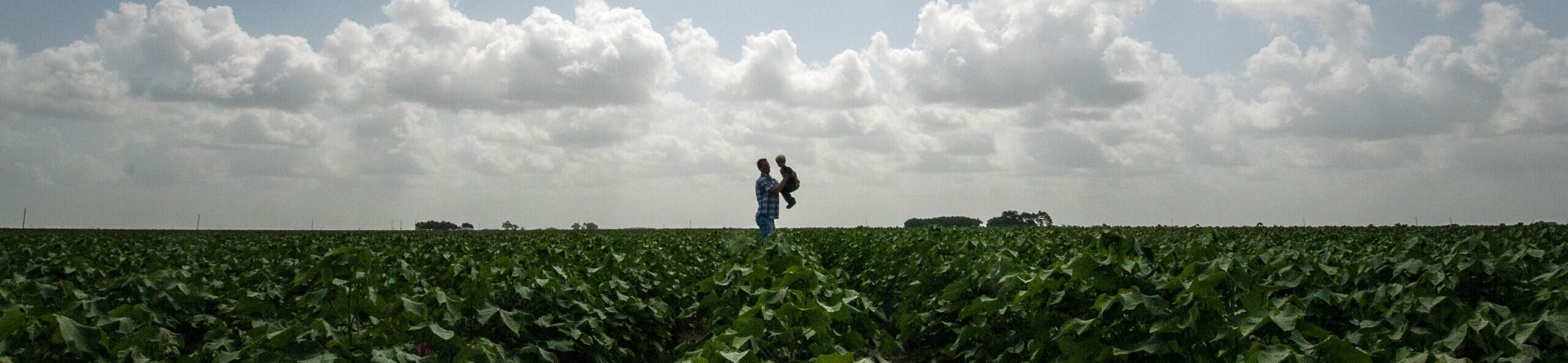 A man holding a child over a field of crops